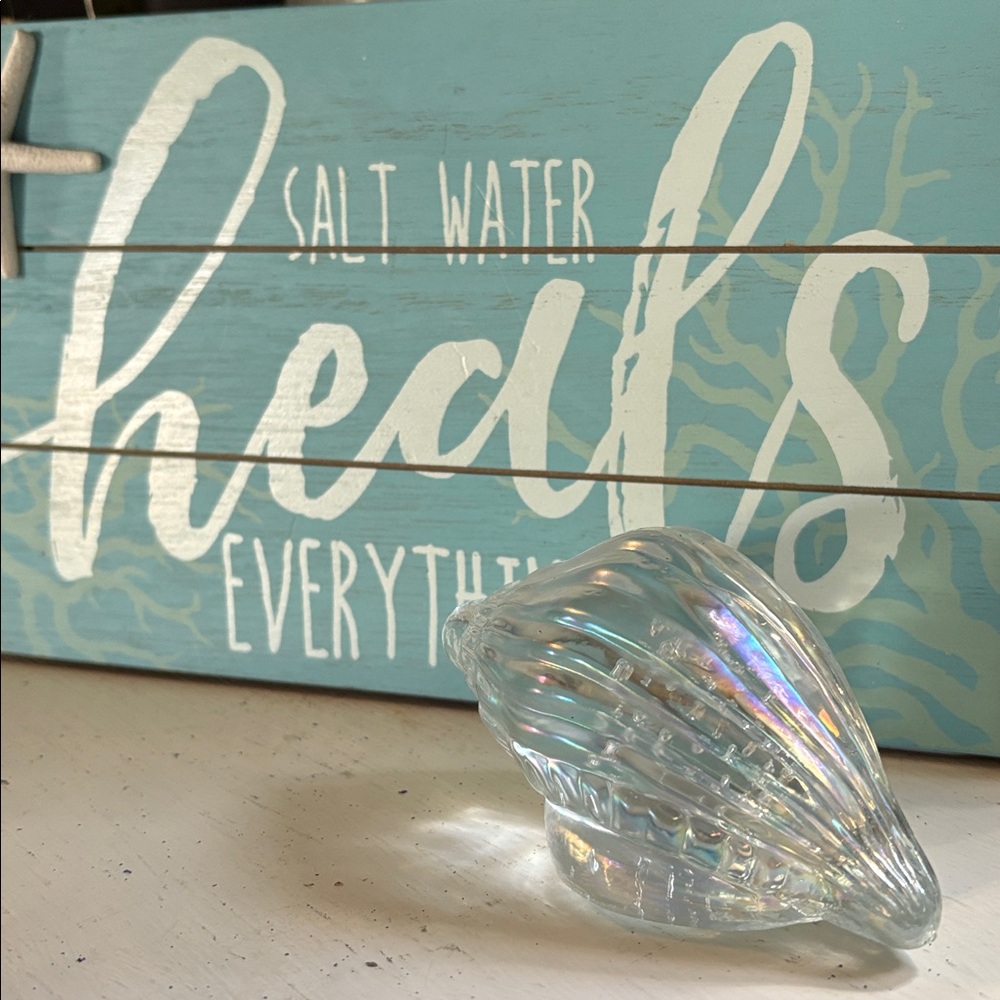 Iridescent Seashell Display - Picture 5 of 5